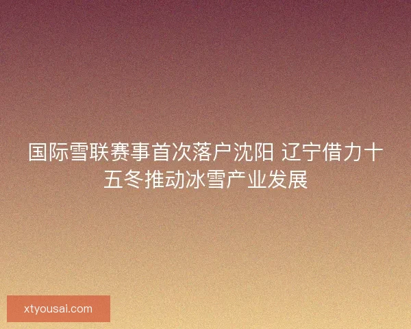 国际雪联赛事首次落户沈阳 辽宁借力十五冬推动冰雪产业发展